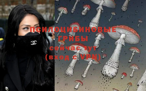 хмурый Абинск
