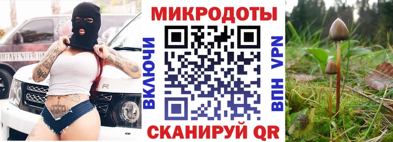 наркошоп  Нестеровская  Псилоцибиновые грибы мухоморы 